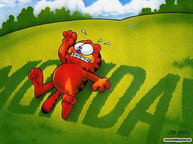 Garfield - Tapety1.jpg