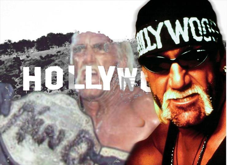 Hulk Hogan - Chulk Hogan3.jpg