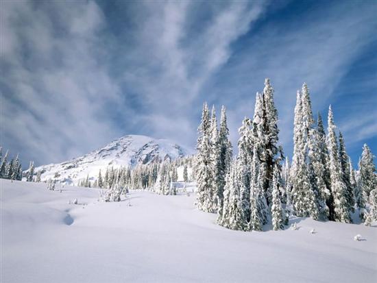 krajobraz zimowy - fe6db9d6f5e28c6fcd78a9b84b285c41_web.jpg