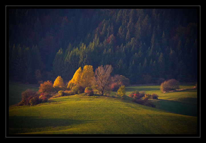 ciekawe fotki - Slonce_rysuje_po_polach_-_fotografie_jesienne_5190.jpg