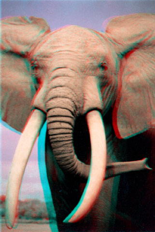 3D Anaglify - elephant1_a.jpg
