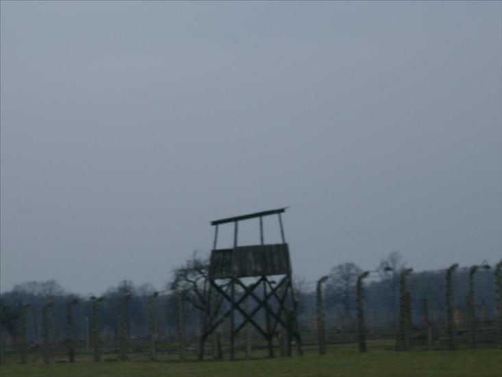 Auschwitz-Birkenau Birkenau - 1397.JPG