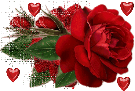 Gify Kwiaty Róże - ruze61.gif