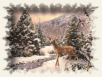 krajobrazy swiateczne - kerst123201.gif