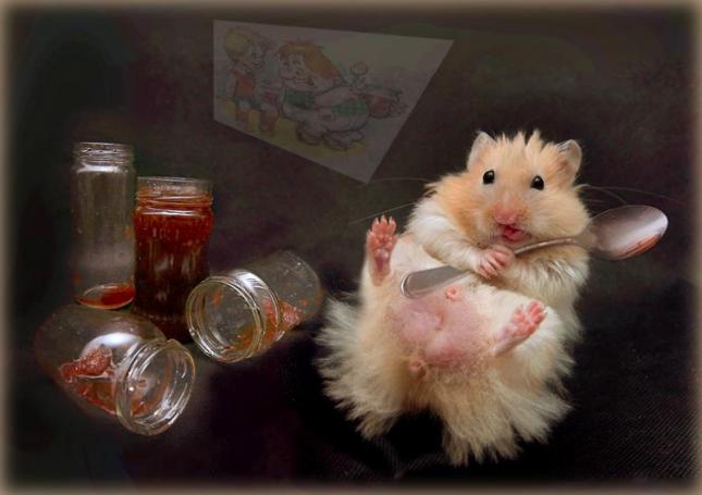 Chomiki i inne pluszaki - obzarta mysz.jpg