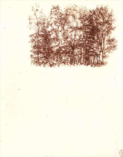 Studies  drawings - Birch copse. 1500Royal Library, Windsor.bmp
