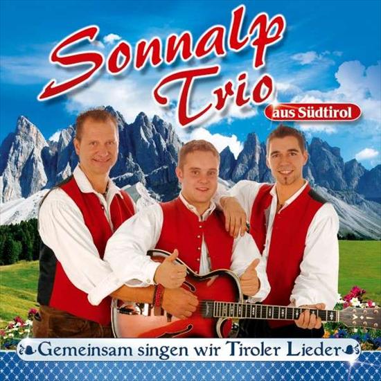Gemeinsam singen wir Tiroler Lieder 2011 - Cover.jpg