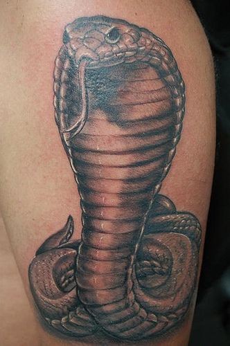 TATUAŻE - tatuaż-wąż-kobra.jpg