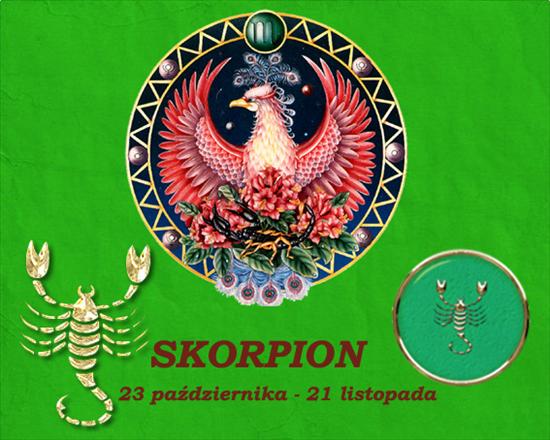Znaki Zodiaku - skorpion1.jpg