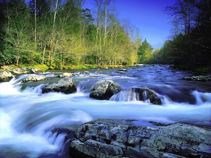 kartki - Little Pigeon River, Great Smoky Mountains National Park, Te.jpg