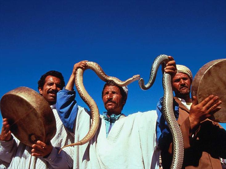 MAROCO  ZDJECIA - Snake Man, Marrakech, Morocco.jpg