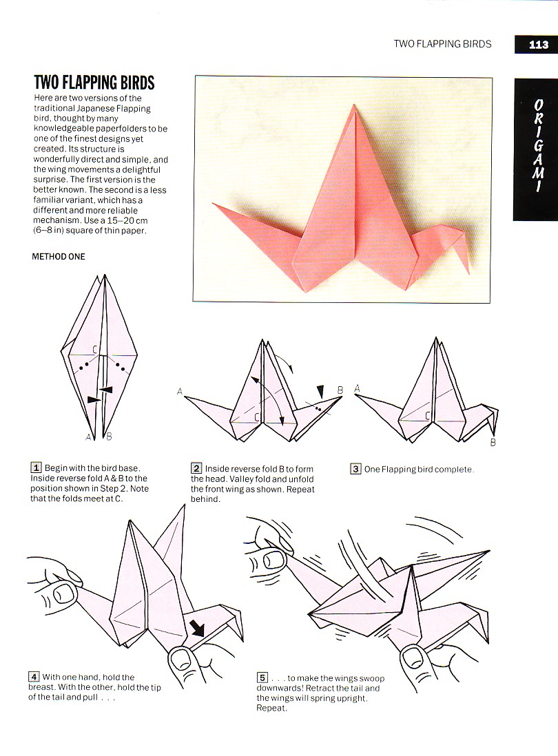 origami1 - Paul 113.jpg