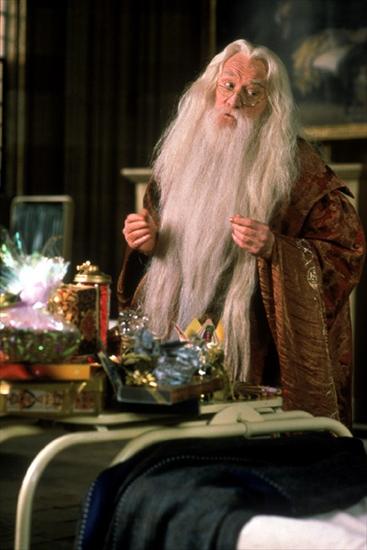 Albus Dumbledore - Richard Harris oraz Michael Gambon - dumbledore5.jpg