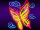 Obrazki - Neon Butterfly.jpg