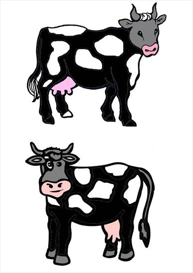 ZWIERZĘTA - krowy.jpg