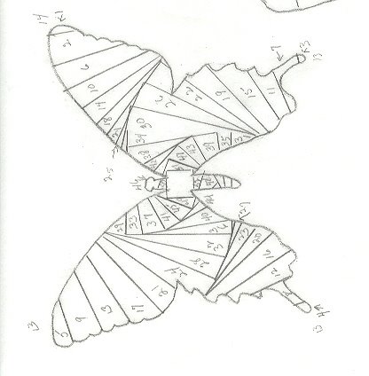 Iris folding 5 - Butterfly4.jpg
