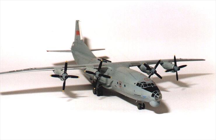 4 modele samolotow transportowych - ab_an-12_roden_8.jpg