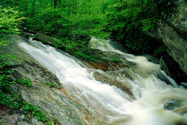 Super tapety 15 - Wilson Creek, Pisgah National Forest, North Carolina.jpg
