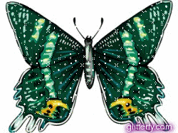 Motyle Animacje - green_butterfly.gif