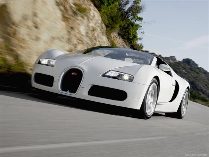 samochody - Bugatti-Veyron_Grand_Sport_2009_800x600_wallpaper_01.jpg
