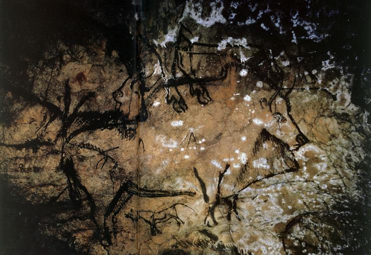 Sztuka jaskiniowców - Clio Team -17 000 -12 000 Bison peint au trait en noir, Grotte de Niaux, Magdalnien.jpg