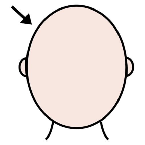 Orientacja w schemacie ciała - głowa1.JPG