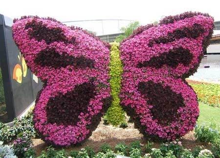 kwiatowe motyle - motyle.jpg