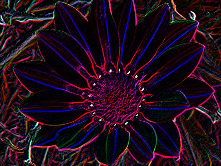 neonowe kwiatki - neon8.jpg