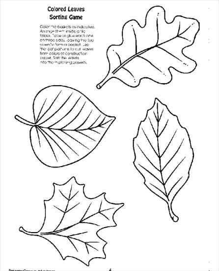szablony, witraże - 04_Coloured_Leaves_Sorting_Game.gif