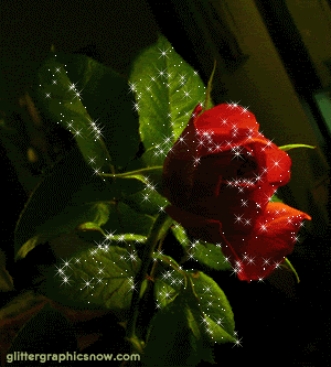 Kwiaty - ros028.gif