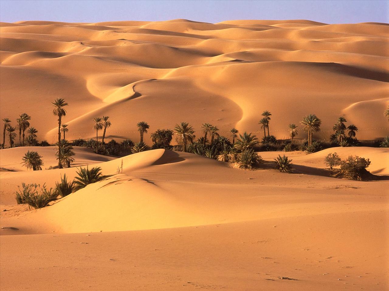 Deserts - Deserts 7.jpg
