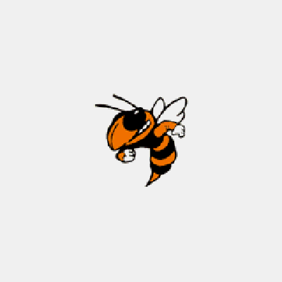 pszczolki - osa5.gif