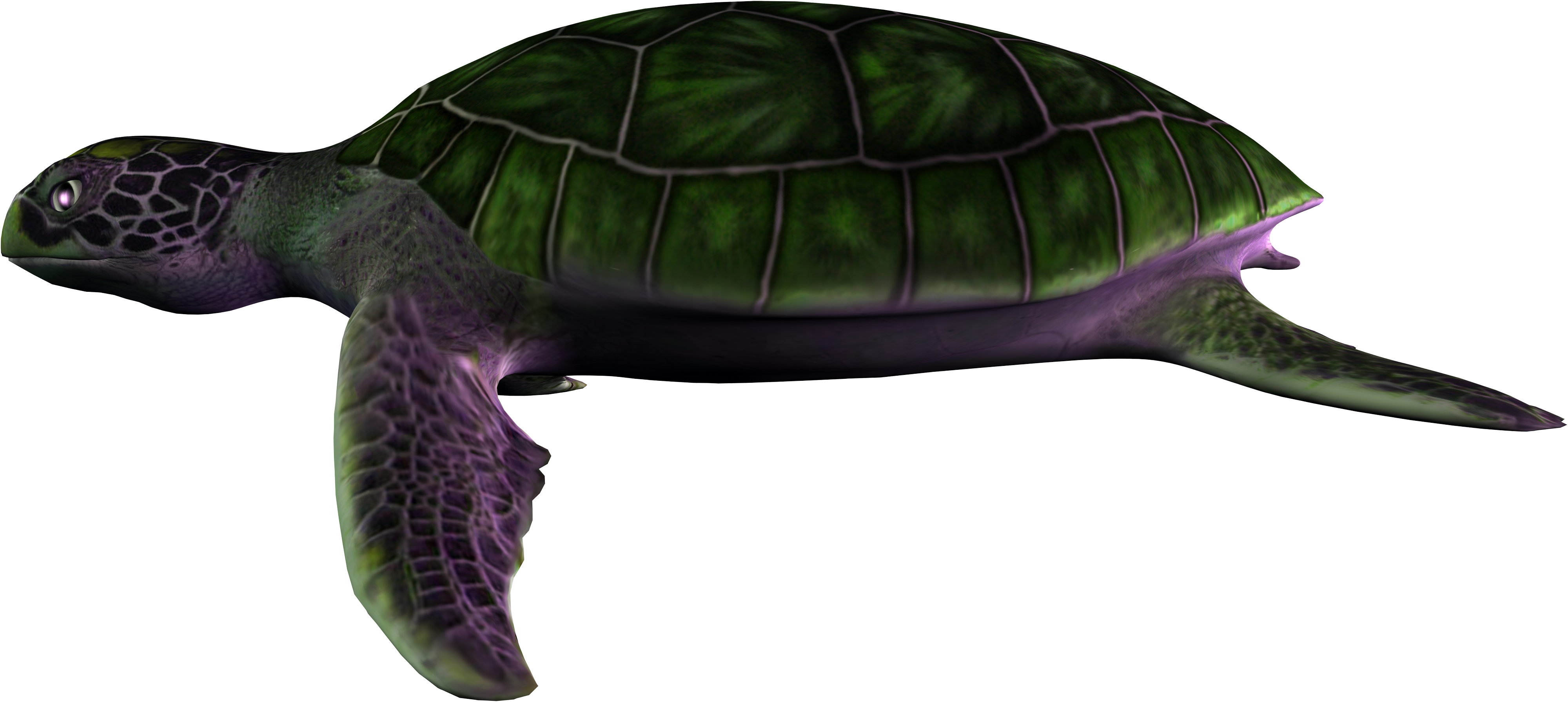 Żółwie-PNG - żółw36.png
