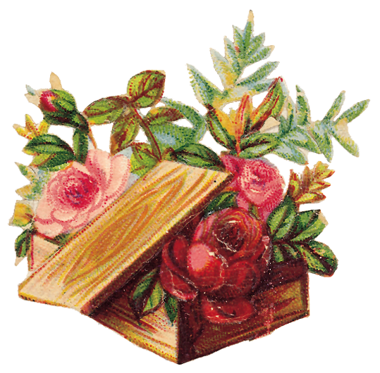   Fruits and Flowers ze starych pocztówek - 226.TIF