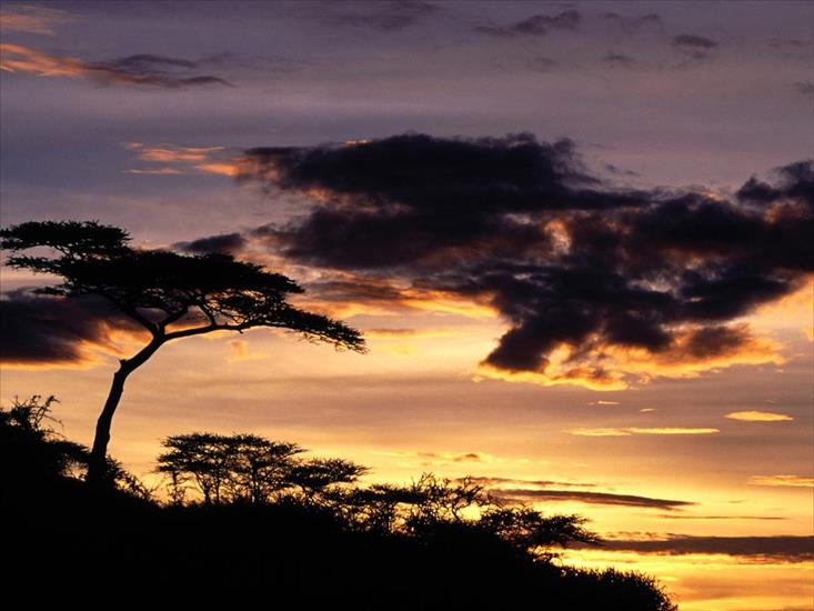 Krajobrazy - A New Beginning, Tanzania, Africa.jpg