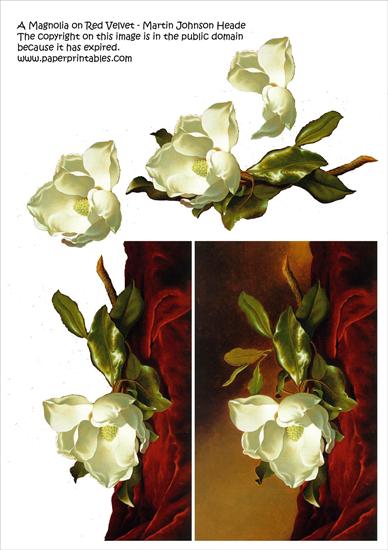 Kwiaty1 - a magnolia on red velvet martin johnson heade.jpg