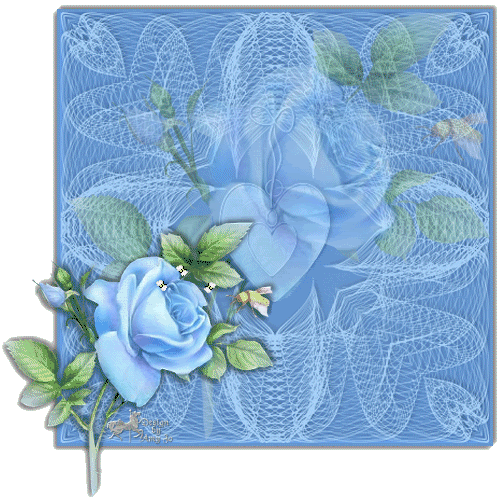 Niebieskie-Róże - blue112.gif
