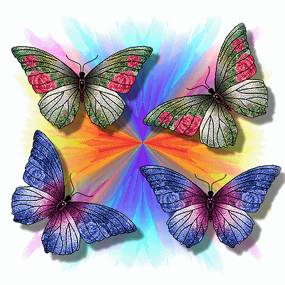 Motyle - motyl 4.gif
