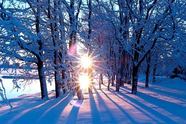 4-ZIMA - winter-sun.jpg