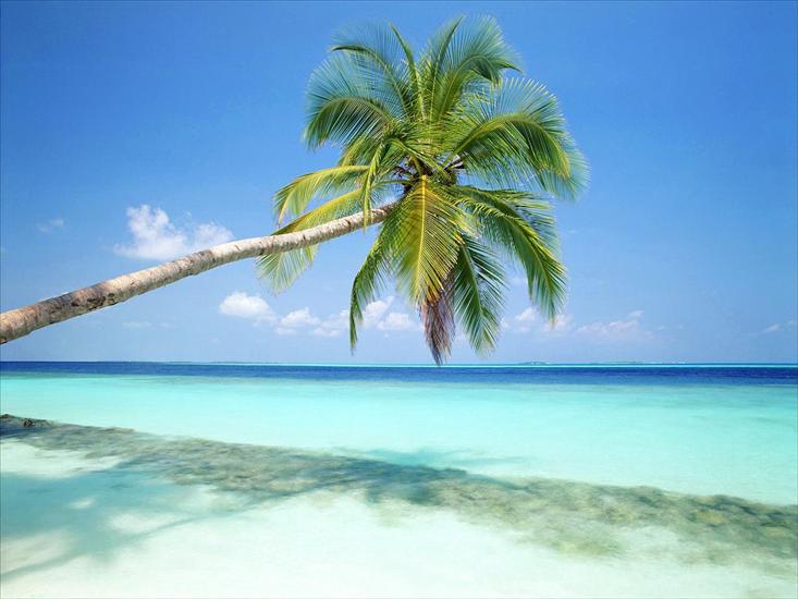 TROPIKI - Tropical Island, Maldives.jpg