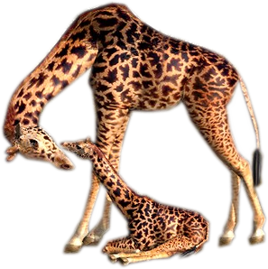  Zwierzaki  PNG - żyrafa 12.png