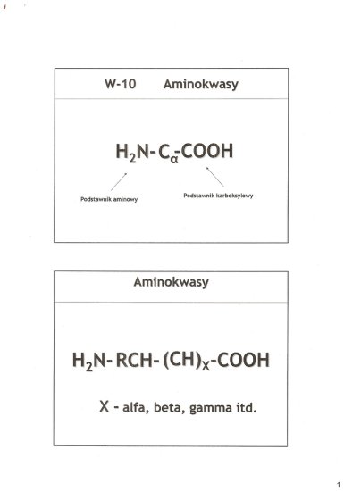 Chemia Bioorganiczna - 219.jpg