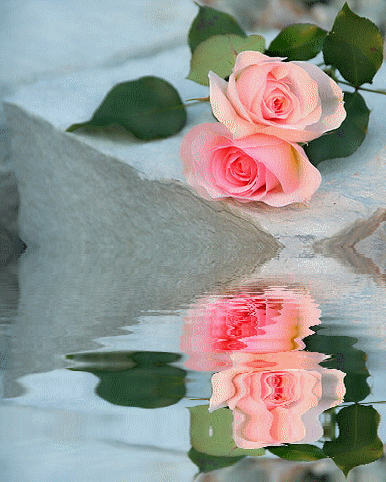 ODBITE W WODZIE - wod róże dwie1.gif