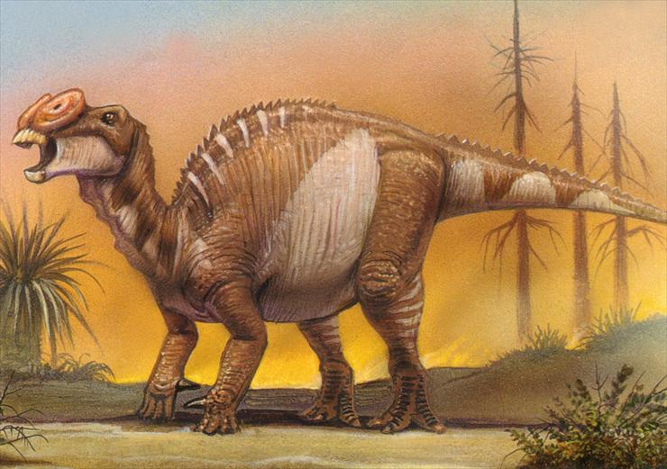 Dinosaurs - Muttaburrasaurus.jpg