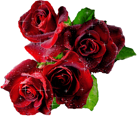 kwiaty   róże - 96071574.gif