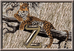 Lampart - cheetah-z-letter.gif