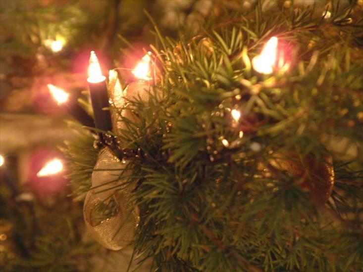 Wyselekcjonowane foto świąteczne - Lampki -świeczki.jpg