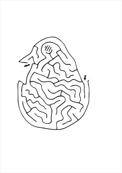labirynty - chick-maze-12523-large.bmp