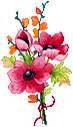 Kwiaty Chomisia52 - cid_00f301c977e7a406f5800100000axphome.jpg