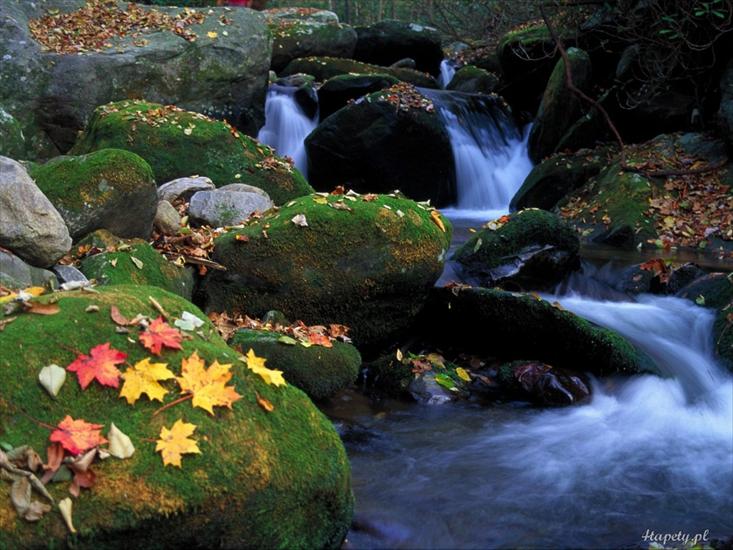 KRAJOBRAZY - cascade_and_autumn_leaves_great_smoky_mountains_national_park_tennessee-1024x768.jpg
